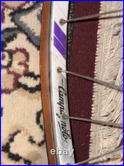 1970 Windsor Professional 5SPD Road Bike Campagnolo Nuovo Record Brooks 57cm