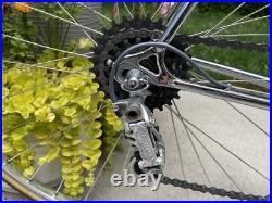 1973 Ellis Briggs Favori Campagnolo Nuovo Record, Vintage L'Eroica Road Bike