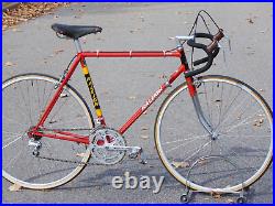 1979 Raleigh Record Team Road Bike Reynolds 531 Campagnolo Large 57cm