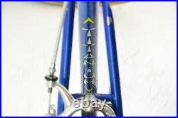 1980 Patelli Titanium Road Bike 53 cm c-t Campagnolo Super Record 8.88kg