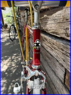 1981 Ciocc Mokba Vintage Road Bike With Full Campagnolo Nuevo Record 56cm