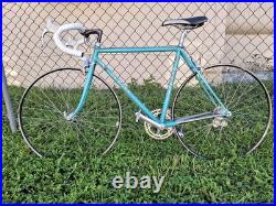 1986 De Rosa Professional SLX Asso rims Campagnolo C-record Delta Brakes 52cm 1986 De Rosa Professional SLX Asso rims Campagnolo C-record Delta Brakes 52cm