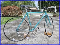 1986 De Rosa Professional SLX Asso rims Campagnolo C-record Delta Brakes 52cm