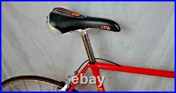 1986 Serotta Colorado II Road Bike 54cm Small Campagnolo Record USA Made/Shipper