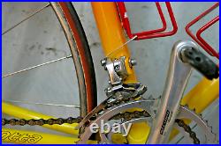 1986 Serotta Colorado II Road Bike 54cm Small Campagnolo Record USA Made/Shipper