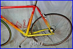 1986 Serotta Colorado II Road Bike 54cm Small Campagnolo Record USA Made/Shipper