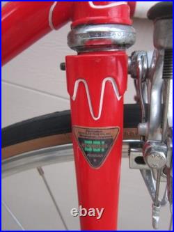 58cm Swiss Allegro, Reynolds 531, Campagnolo Nouvo Record, Cinelli, Brooks, Eroica