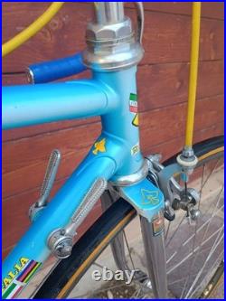 80s Vintage Rauler Campagnolo Super Record 5253 Steel Road Bike Racing Bike