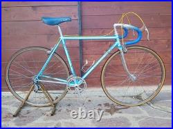 80s Vintage Rauler Campagnolo Super Record 5253 Steel Road Bike Racing Bike