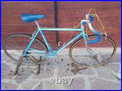 80s Vintage Rauler Campagnolo Super Record 5253 Steel Road Bike Racing Bike