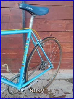 80s Vintage Rauler Campagnolo Super Record 5253 Steel Road Bike Racing Bike