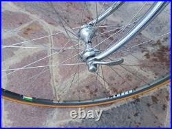 80s Vintage Rauler Campagnolo Super Record 5253 Steel Road Bike Racing Bike