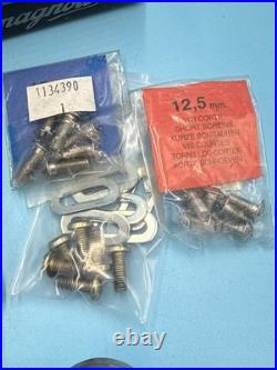 CLASSIC Campagnolo RECORD Titanium PRO-FIT Clipless Road Pedals WITH CLEATS
