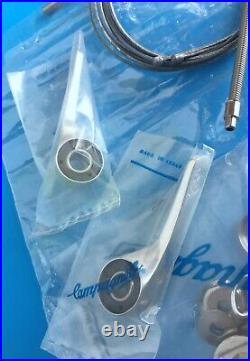 Campagnolo C Record Doppler Downtube Shifters Braze-On NOS NIP Retrofriction