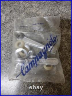 Campagnolo Nuovo Record Vintage Down Tube Bicycle Braze-On Shifters
