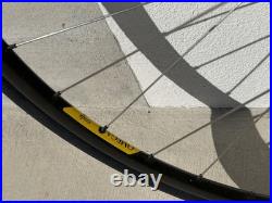 Campagnolo Omega Strada Hardox 700c Curved WHEELS Record Hubs Rims New Tires