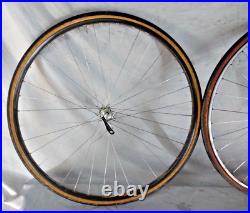 Campagnolo Record 700c Road Bike Wheel Set Gray Campy 36S 126mm Fast USA Shipper