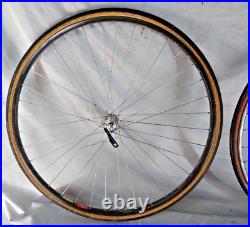 Campagnolo Record 700c Road Bike Wheel Set Gray Campy 36S 126mm Fast USA Shipper