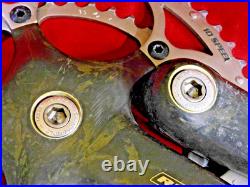 Campagnolo Record Carbon 10 Speed Crankset 53/39 x 172.5 mm Square Taper