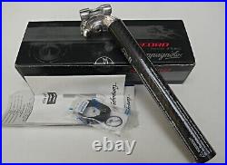 Campagnolo Record carbon fiber seatpost 27.2. NIB. 250mm length NOS