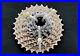 Campagnolo-Super-Record-11-29t-12-Speed-Sprocket-Cassette-Silver-Used-01-odrm