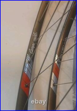 Campagnolo Wheelset C Record 32h 35x24F Hubs Record Strada Tubular Hoshi Spokes