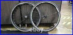 Carbon Fiber Road Bike withFull Campy Record, Power Meter and Carbin Wheels (50cm)