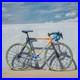 Colnago-C40-Art-Decor-Carbon-Road-Bike-55cm-Campagnolo-Record-Mavic-Used-01-grvp