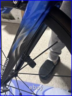 Colnago C60 Campagnolo Record Size 54s