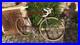 Colnago-Mexico-Saronni-Campagnolo-Super-Record-01-yodl