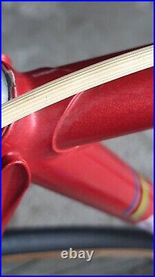 Coppola Professional 5555 80s Campagnolo Record Racing Bike