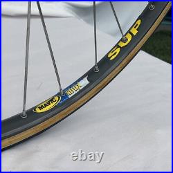 Italvega Gran Turismo Campagnolo Record 10 61 cm Steel Vintage Road Bike Univega