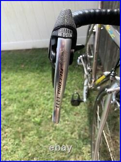 Litespeed Ultimate titanium road bicycle Campagnolo Record 8 speed