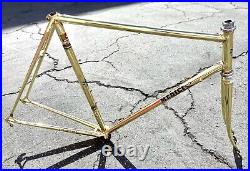 Medici Pro Strada Gold Chromed Road Bike Frameset Campagnolo Record Headset