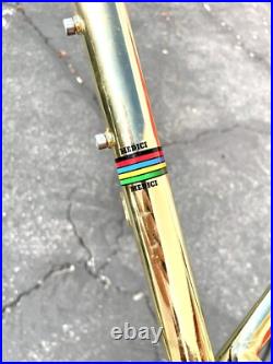 Medici Pro Strada Gold Chromed Road Bike Frameset Campagnolo Record Headset