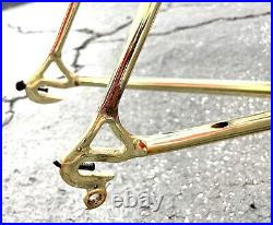 Medici Pro Strada Gold Chromed Road Bike Frameset Campagnolo Record Headset