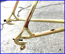 Medici Pro Strada Gold Chromed Road Bike Frameset Campagnolo Record Headset