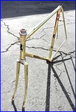 Medici Pro Strada Gold Chromed Road Bike Frameset Campagnolo Record Headset
