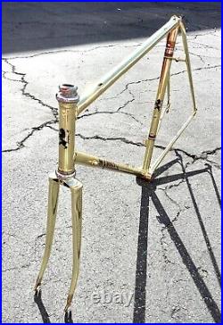 Medici Pro Strada Gold Chromed Road Bike Frameset Campagnolo Record Headset