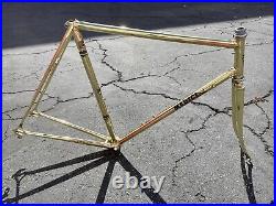 Medici Pro Strada Gold Chromed Road Bike Frameset Campagnolo Record Headset