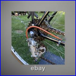 Motobecane Grand Record Bike XXL 63cm Made In France Campagnolo Cutters4life