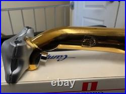 NOS Genuine Campagnolo C-Record Gold-Plated Aero Seatpost & Pin 27.2 WithBox