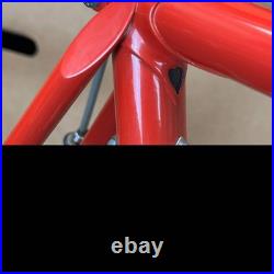 Ottusi Giuseppe, Rare Vintage Luxury Relic Italian Road Bike-1969