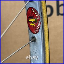 Ottusi Giuseppe, Rare Vintage Luxury Relic Italian Road Bike-1969