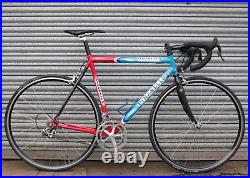 Pinarello Opera 56cm Road Bike Campagnolo Record 10 Speed Carbon Steel Vintage