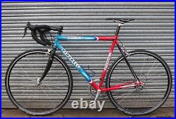 Pinarello Opera 56cm Road Bike Campagnolo Record 10 Speed Carbon Steel Vintage