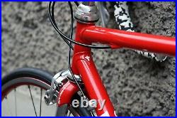 Pinarello dyna campagnolo record 8 italian steel bike eroica vintage 3t fir