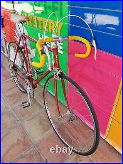 RAULER Vintage Italian Steel Road Bike COLUMBUS Campagnolo Equipped