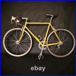 Rare Vintage De Rosa 35 Anniversary Road Bike Columbus Slx Campagnolo Collectors