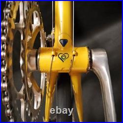 Rare Vintage De Rosa 35 Anniversary Road Bike Columbus Slx Campagnolo Collectors